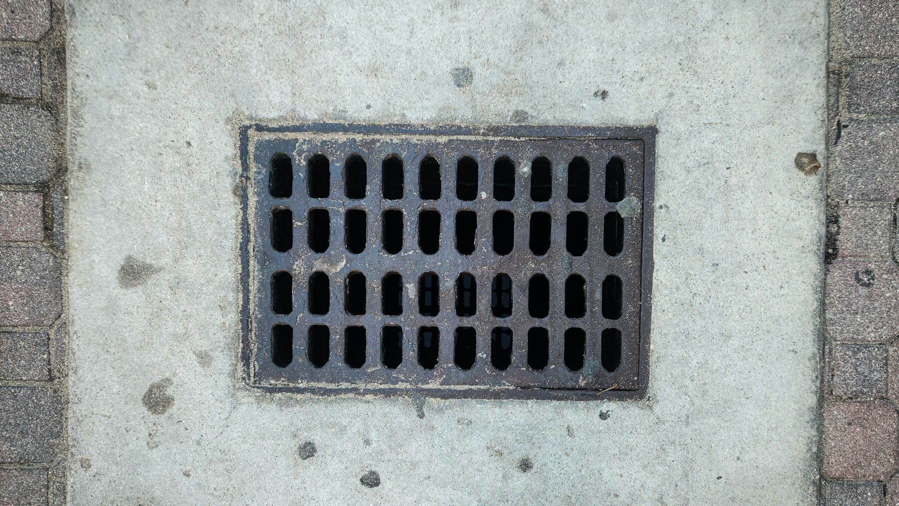 A square metal drain grate set into a concrete surface outside