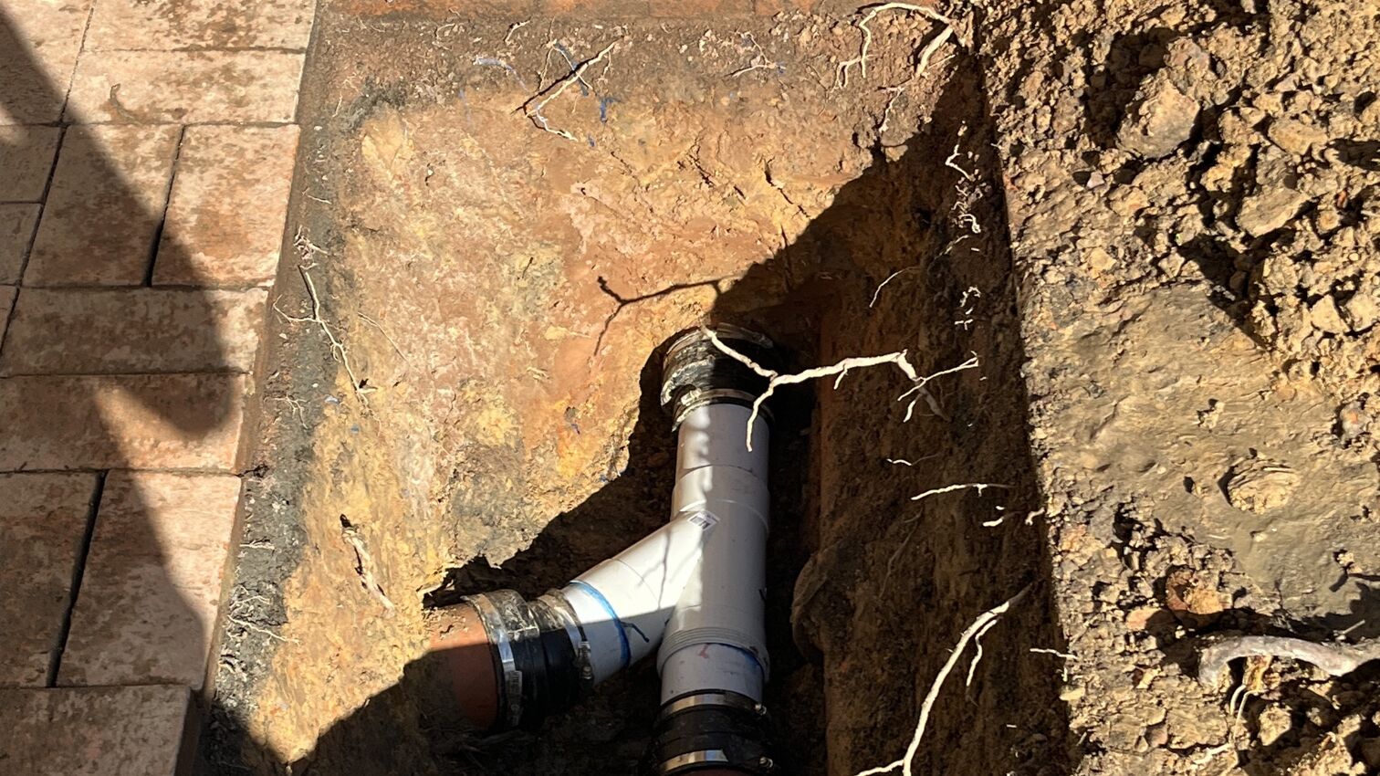 An excavated drain junction with tree roots around the pipe, dug out under a brick-paved path