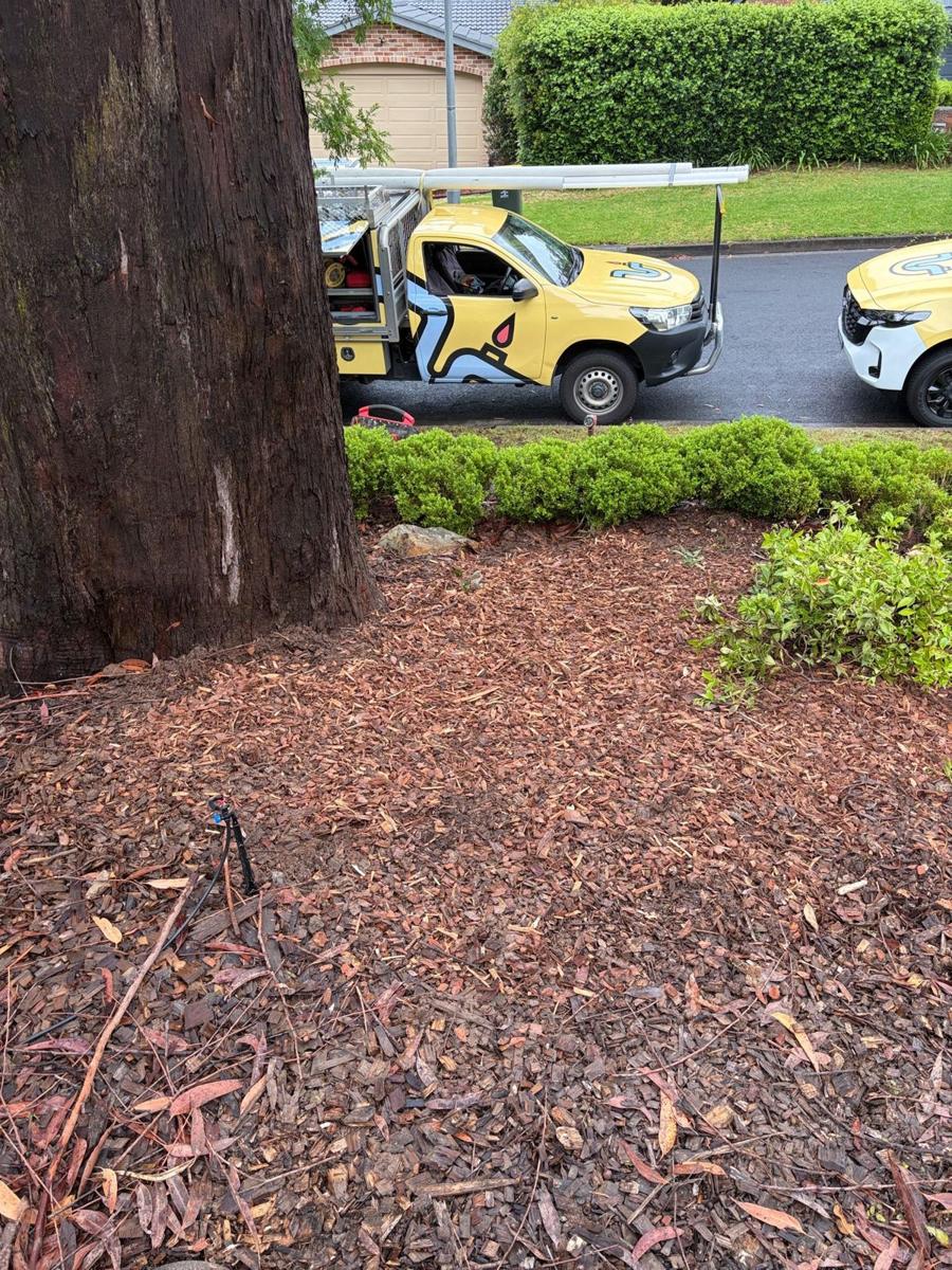 The garden bed reinstated with mulch after the drain repair, with the Precision Pipes vans parked on the street