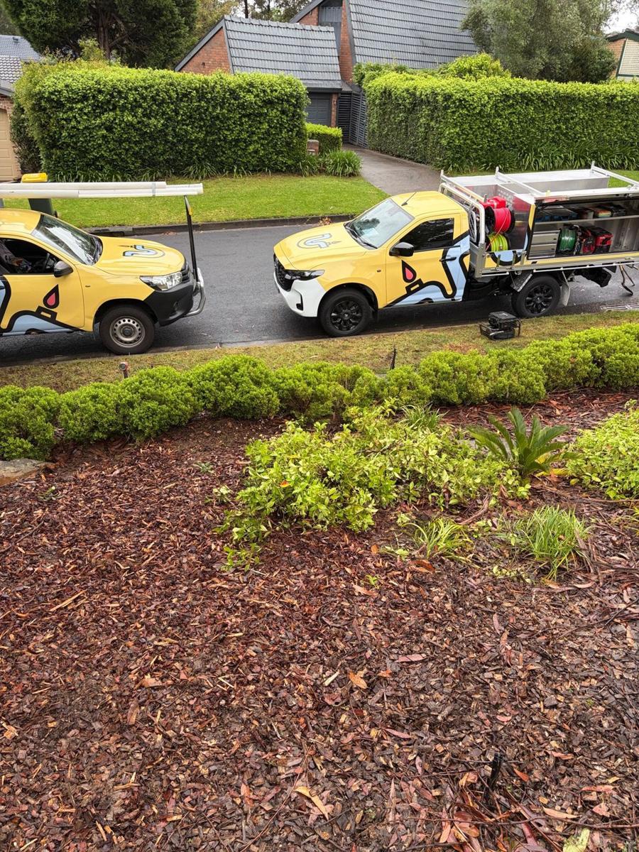 Precision Pipes service utes parked on a Cherrybrook street